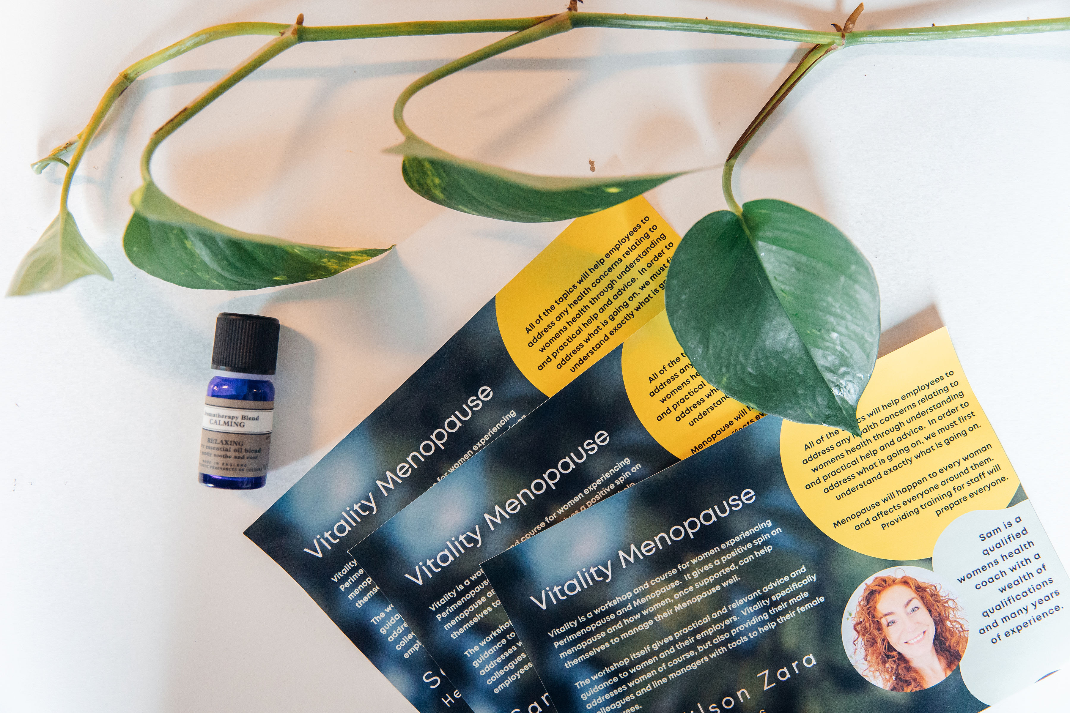 Womens Wellness in Menopause Workshop